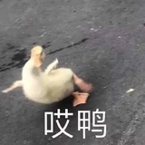 甜豆花加香菜