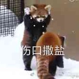 11123