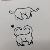 海贝壳