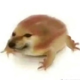 随便