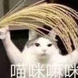 路秋不知意