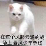 暴风少年登场