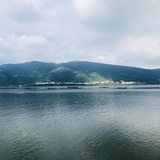 revera