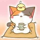 村仔