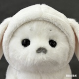 为什么不能变成