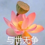 子无良媒