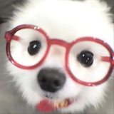 我有一计