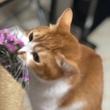 从门内看你