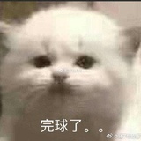 你好呀a