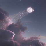 VelN