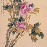 赵丽颖