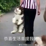 哈利哈利