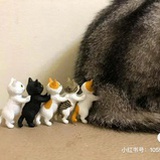 一只