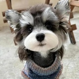 祝福