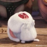 松鼠