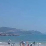 翱翱