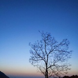 饭团儿