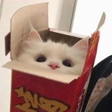 橘子水