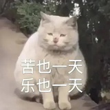改名也太难了