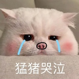 小周不喝粥
