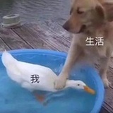 剪影