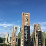 果果
