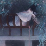 小小猫
