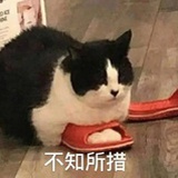 小白兔软糖
