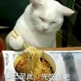 嗯嗯先吃饭吧