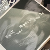 项汀