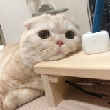 少见多怪