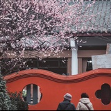 唐雨包