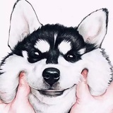 淮风生竹
