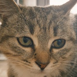 越瘦越美越有钱