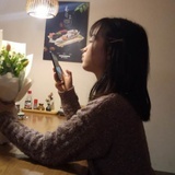 艺羊羊