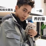 金豆豆