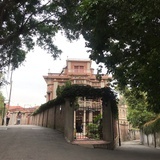 豆友豆豆豆