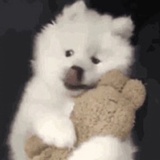 阙歌