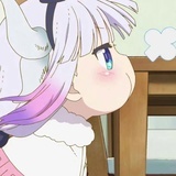 KAMi。