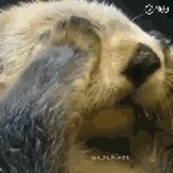 vx:yummyalas