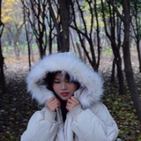 游淇淇