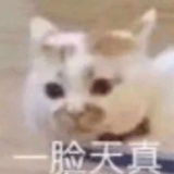 天生吃瓜人