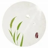 汤汤