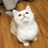 大山浩子
