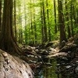 别管我是谁