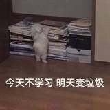 一只黛玉兽
