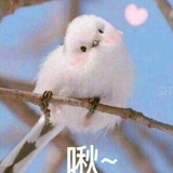 月岛黑田