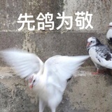 咕咕