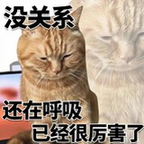 叉叉