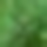 溜溜、胖墩儿妈